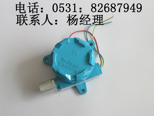 供应一氧化碳泄漏检测仪